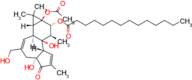 Phorbol-12-myristate-13-acetate