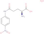 L-gamma-glutamyl-p-nitroanilide monohydrate