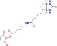 Biotin-X, succinimidyl ester