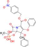 Proteinase K