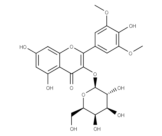 Syringetin-3-O-galactoside