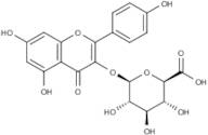 Kaempferol-3-O-glucuronide