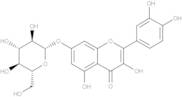 Quercetin-7-O-glucoside