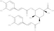 3,5-Di-O-caffeoyl quinic acid