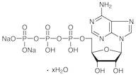 Adenosine 5'-Triphosphate Disodium Salt Hydrate