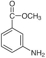 Methyl 3-Aminobenzoate