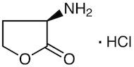 (R)-(+)-α-Amino-γ-butyrolactone Hydrochloride