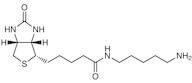 Biotin-C5-Amine