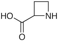 Azetidine-2-carboxylic Acid