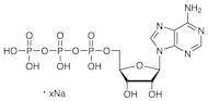 Adenosine 5'-Triphosphate Sodium Salt (ca. 100mM in Water) [for transcription][for Molecular Bio...