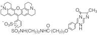 Red-CLA [Chemiluminescence Reagent]