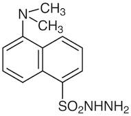 Dansyl Hydrazine [for HPLC Labeling]