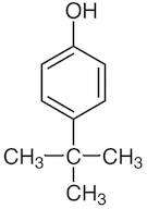 4-tert-Butylphenol Zone Refined (number of passes:19)