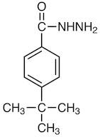 4-tert-Butylbenzohydrazide