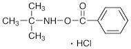 O-Benzoyl-N-tert-butylhydroxylamine Hydrochloride