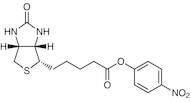 (+)-Biotin 4-Nitrophenyl Ester