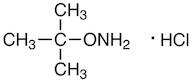 O-(tert-Butyl)hydroxylamine Hydrochloride