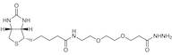 Biotin-PEG2-Hydrazide