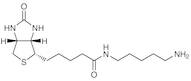 Biotin-C5-Amine (2mg×5)