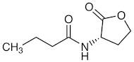 N-Butyryl-L-homoserine Lactone