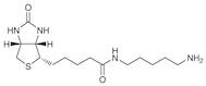 Biotin-C5-Amine