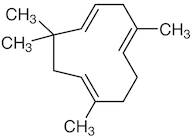 α-Caryophyllene
