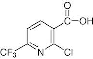 2-Chloro-6-(trifluoromethyl)nicotinic Acid