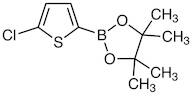 5-Chloro-2-(4,4,5,5-tetramethyl-1,3,2-dioxaborolan-2-yl)thiophene
