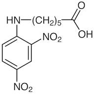 N-(2,4-Dinitrophenyl)-6-aminohexanoic Acid