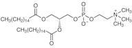 1,2-Dipalmitoyl-sn-glycero-3-phosphocholine