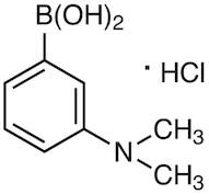 3-(Dimethylamino)phenylboronic Acid Hydrochloride (contains varying amounts of Anhydride)