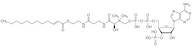 2-trans-Dodecenoyl-Co A