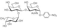 Fuc(1-2)Gal(1-3)GalNAc--pNP (=H type 3 -pNP Glycoside)