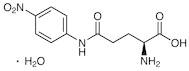 L-γ-Glutamyl-p-nitroanilide Monohydrate