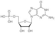 Guanosine 5'-Monophosphate