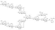 Galα(1-3) core 6-Fucosylated N-Glycan 2AB (500pmol/vial)