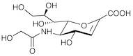 N-Glycolyl-2,3-didehydro-2-deoxyneuraminic Acid