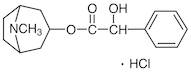 Homatropine Hydrochloride