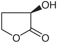 (R)-(+)-alpha-Hydroxy-gamma-butyrolactone