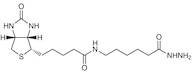 N''-Biotinyl-6-aminohexanoylhydrazide
