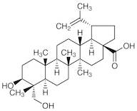 23-Hydroxybetulinic Acid