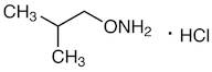 O-Isobutylhydroxylamine Hydrochloride