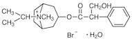 Ipratropium Bromide Monohydrate