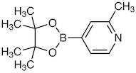 2-Methyl-4-(4,4,5,5-tetramethyl-1,3,2-dioxaborolan-2-yl)pyridine