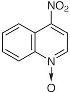 4-Nitroquinoline N-Oxide