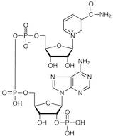 β-Nicotinamide Adenine Dinucleotide Phosphate [for Biochemical Research]