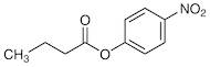 4-Nitrophenyl Butyrate