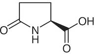 L-Pyroglutamic Acid