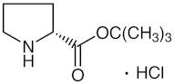 D-Proline tert-Butyl Ester Hydrochloride