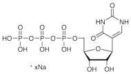 Pseudouridine 5'-Triphosphate Sodium Salt (ca. 100mM in Water) [for transcription] [for Molecular Biology]
